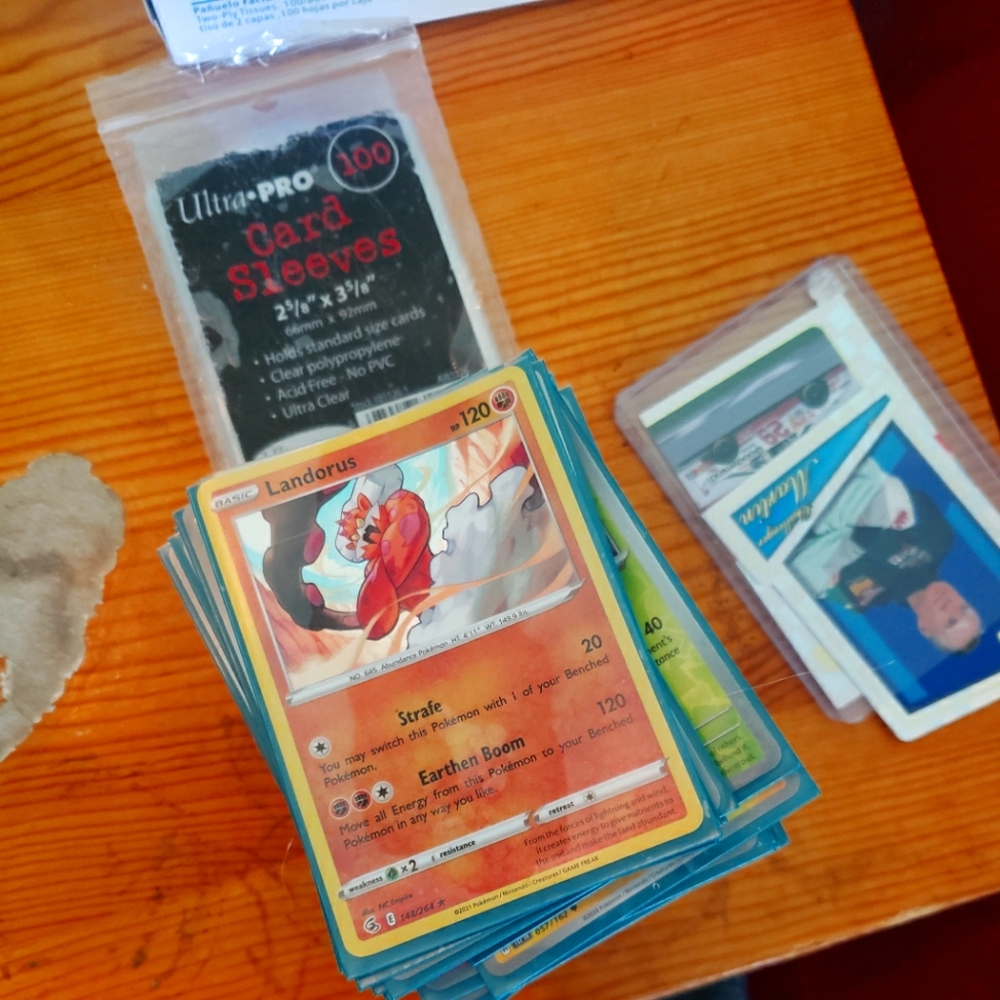 Pokémon card and Nascar cards with sleeves